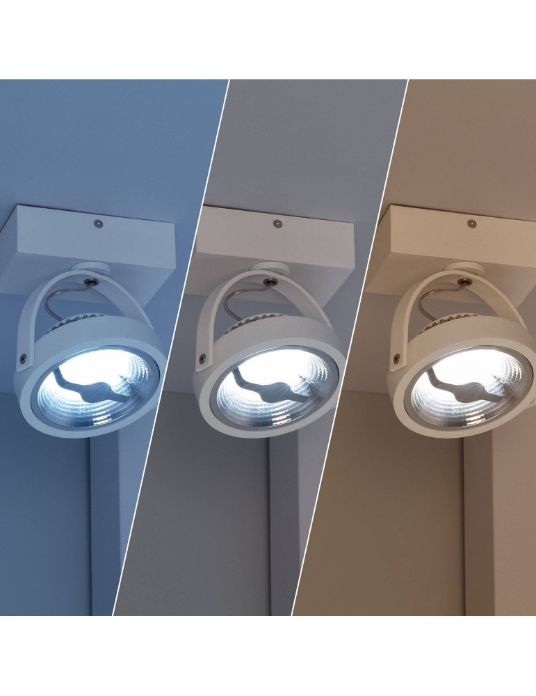 Spot LED 15W CREE en Saillie Orientable AR111 Dimmable Blanc