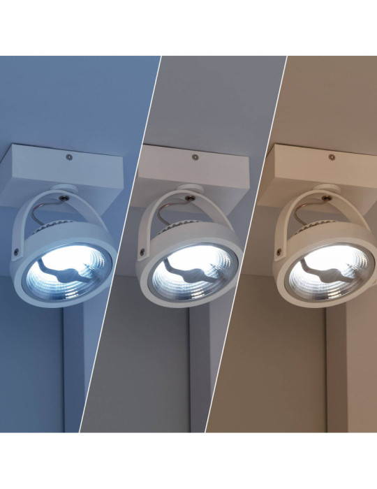 Spot LED 15W CREE en Saillie Orientable AR111 Dimmable Blanc
