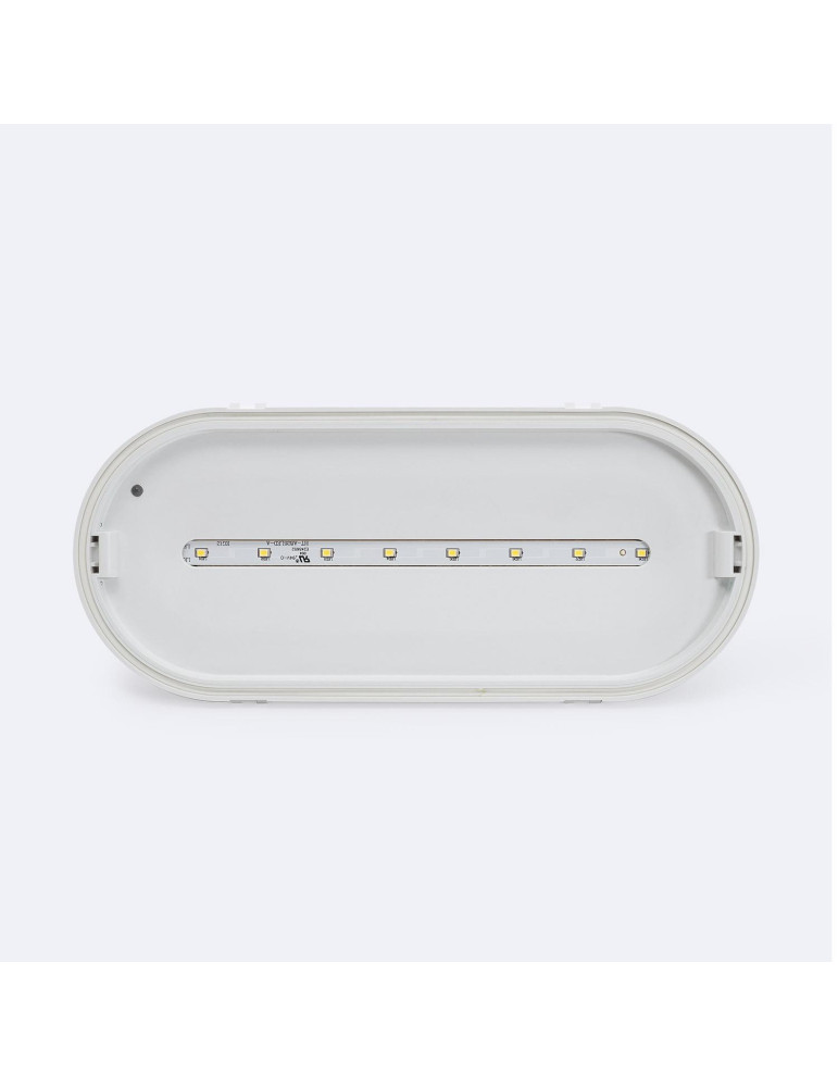 Éclairage de Secours LED Encastrable/Saillie 120lm Permanent/Non Permanent IP65