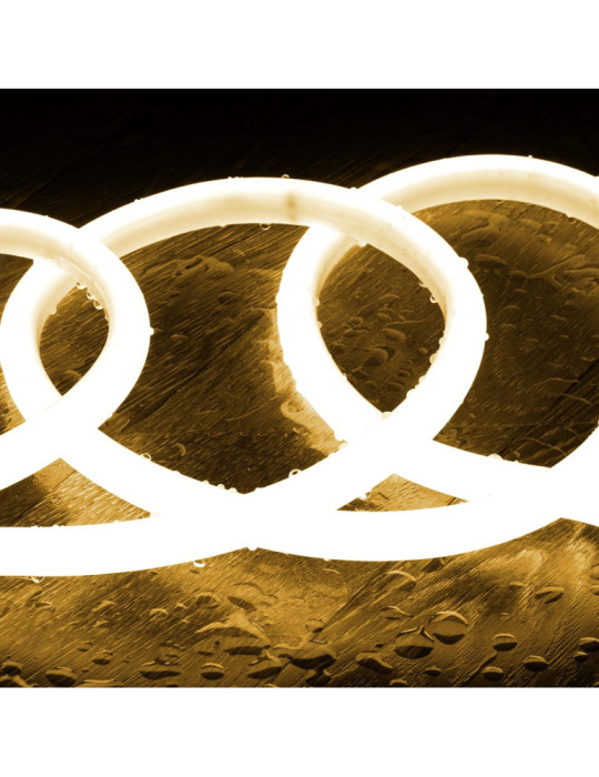 Ruban Néon LED Dimmable 220V AC Circulaire SFLEX14 IP65 sur Mesure coupe tous les 100 cm