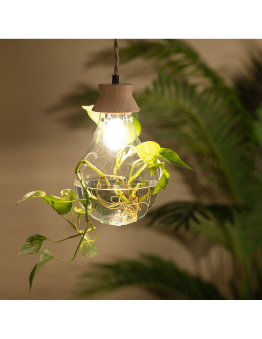 Suspension Bois et Verre Kathu Bumbieris