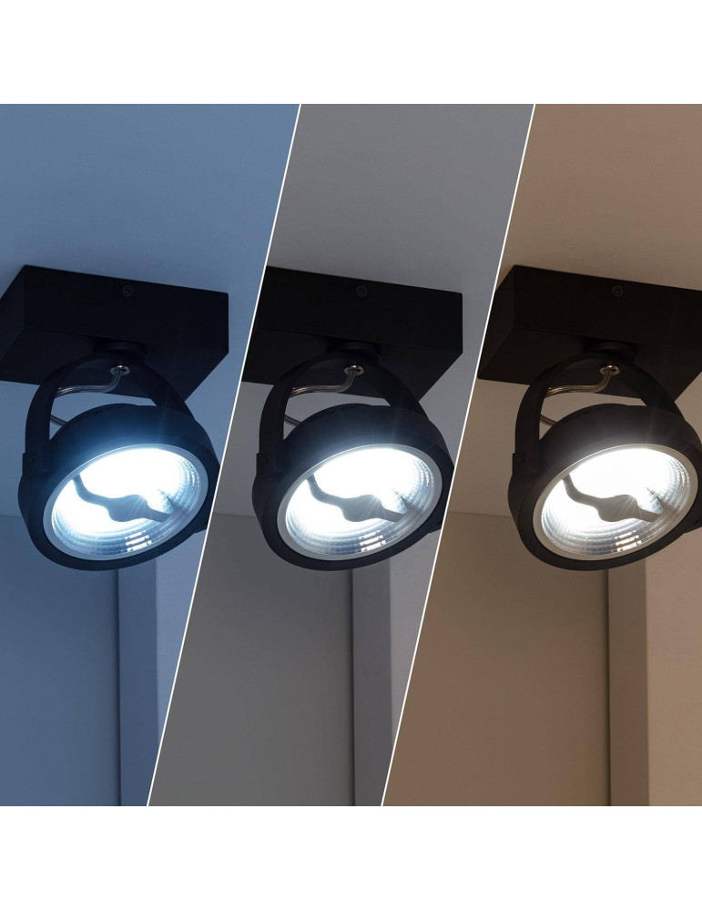 Spot LED 15W CREE en Saillie Orientable AR111 Dimmable Noir