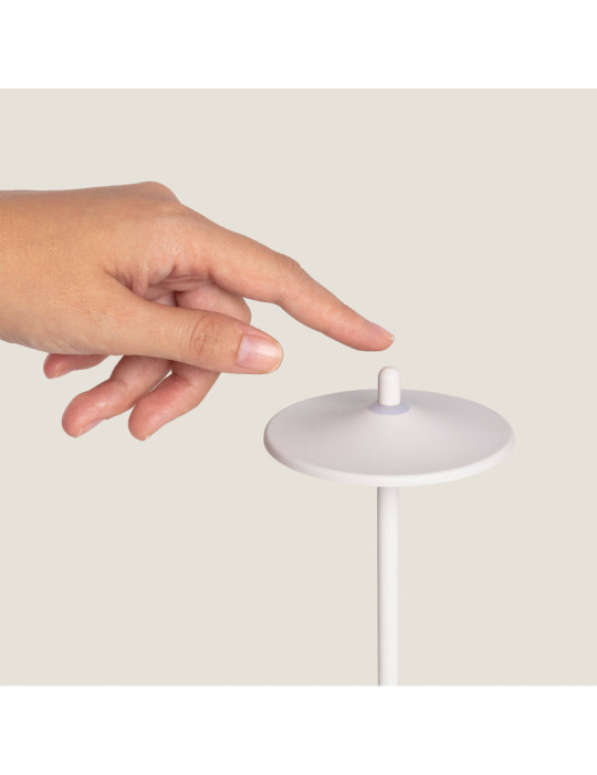 Lampe à Poser LED Portable Extérieure Métal avec Batterie Rechargeable Milevani