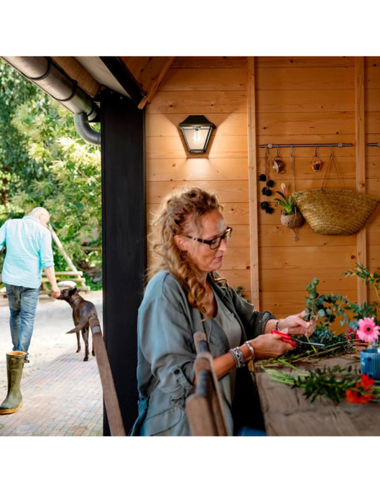 Applique Murale Extérieure PHILIPS Alpenglow