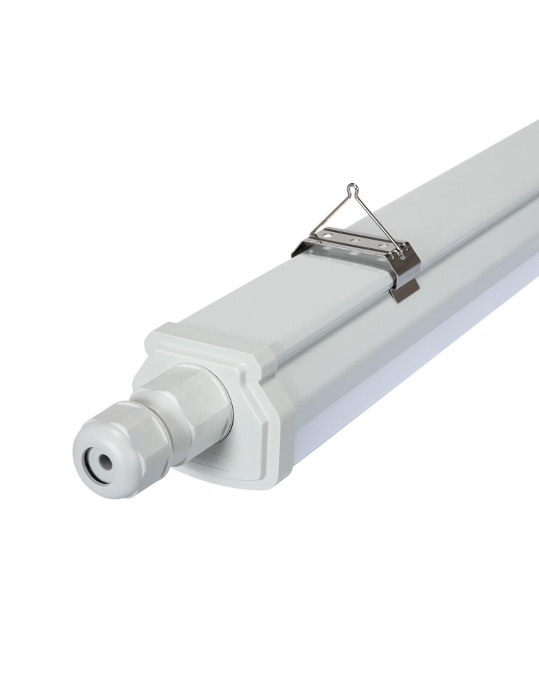 Réglette Étanche LED PHILIPS 30W Ledinaire 120cm IP66 WT060C