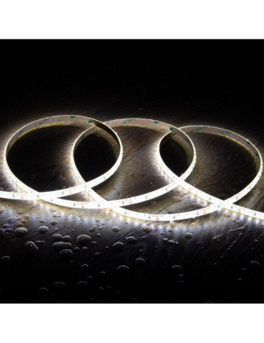 Ruban LED 24V DC SMD2835 120LED/m 5m IP65 Largeur 8mm Coupe 5cm