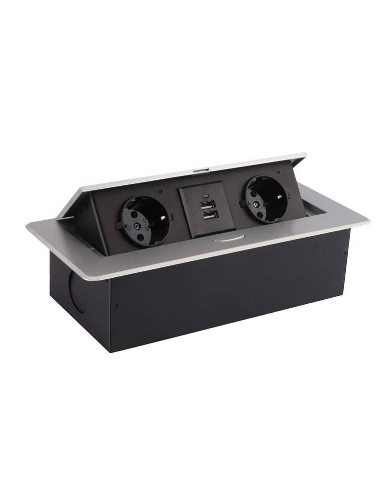 Base Multiple Encastrée 2 Prises Type F + 2xUSB