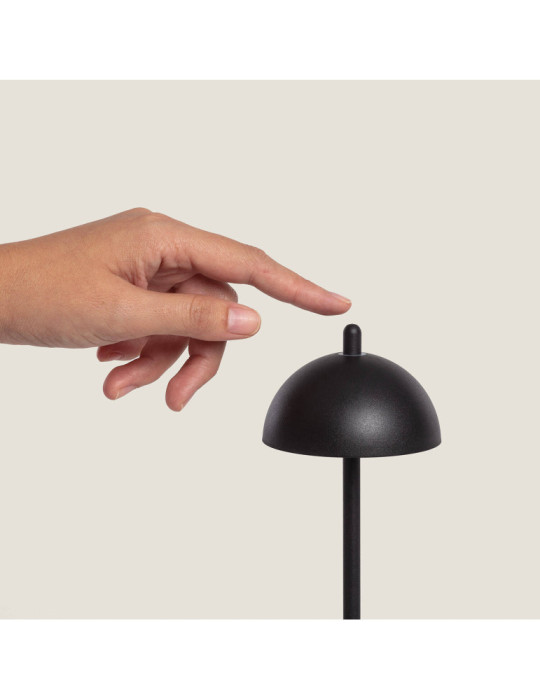 Lampe à Poser LED Portable Extérieure Métal avec Batterie Rechargeable Pirinoa