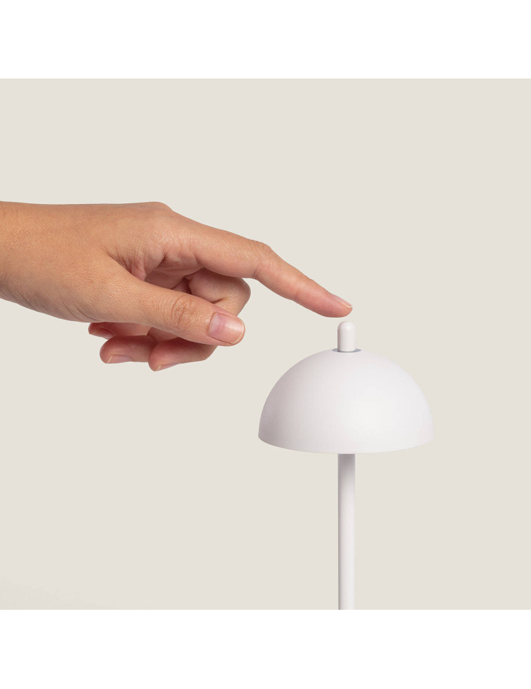 Lampe à Poser LED Portable Extérieure Métal avec Batterie Rechargeable Pirinoa