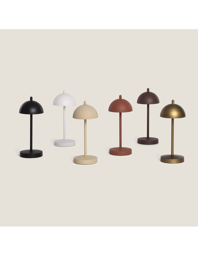 Lampe à Poser LED Portable Extérieure Métal avec Batterie Rechargeable Pirinoa