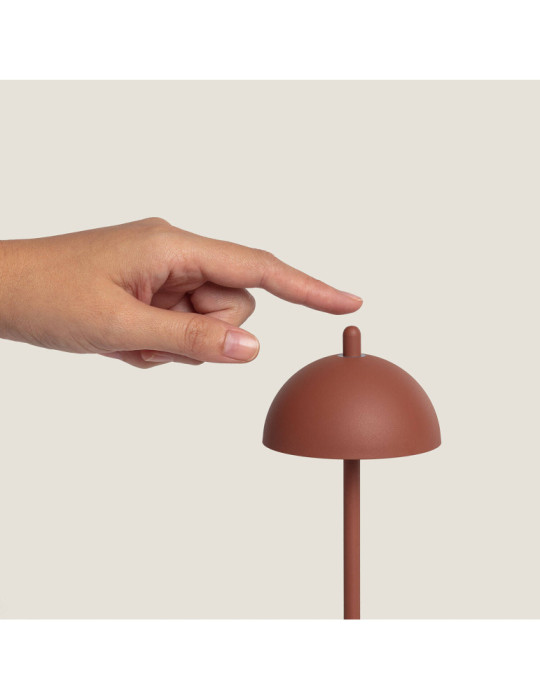 Lampe à Poser LED Portable Extérieure Métal avec Batterie Rechargeable Pirinoa