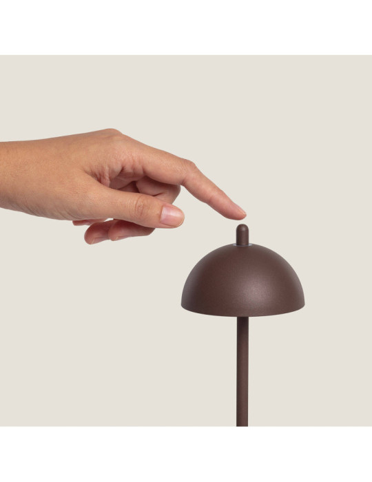 Lampe à Poser LED Portable Extérieure Métal avec Batterie Rechargeable Pirinoa