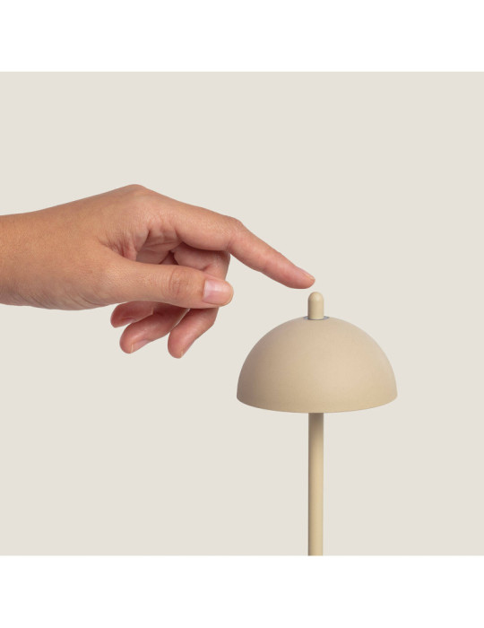 Lampe à Poser LED Portable Extérieure Métal avec Batterie Rechargeable Pirinoa