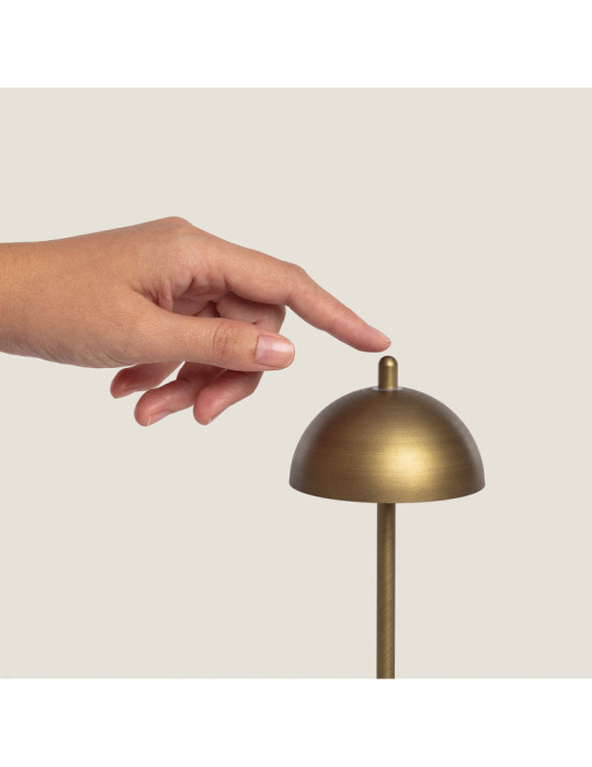 Lampe à Poser LED Portable Extérieure Métal avec Batterie Rechargeable Pirinoa