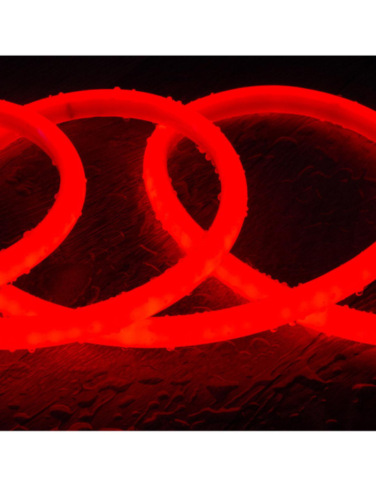 Ruban Néon LED Dimmable 220V Circulaire SFLEX17 IP65 sur Mesure  Coupe tous les 100 cm