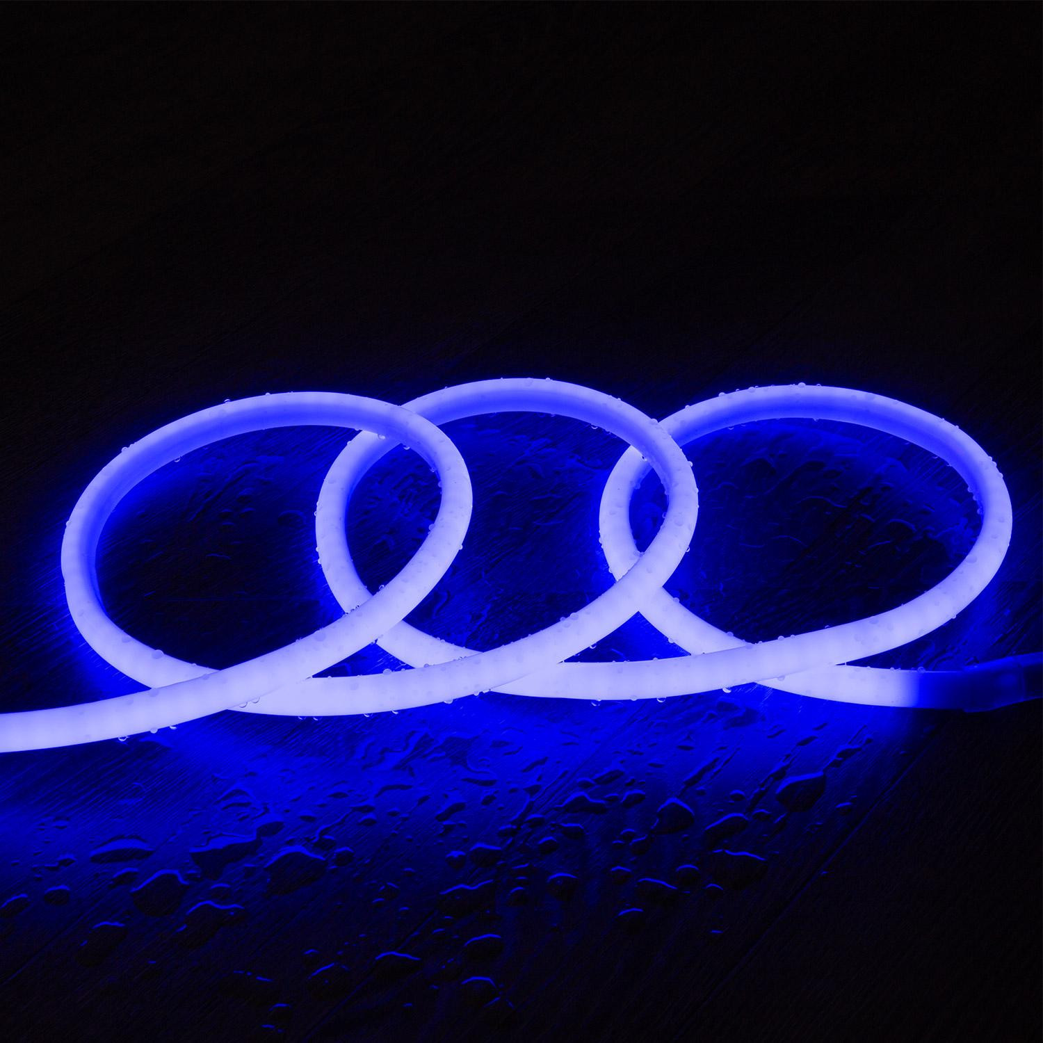 Ruban Néon LED Dimmable 220V Circulaire SFLEX17 IP65 Coupe tous les 100cm 50 m Bleu