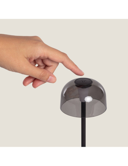 Lampe à Poser LED Portable Extérieur Métal avec Batterie Rechargeable Lendora