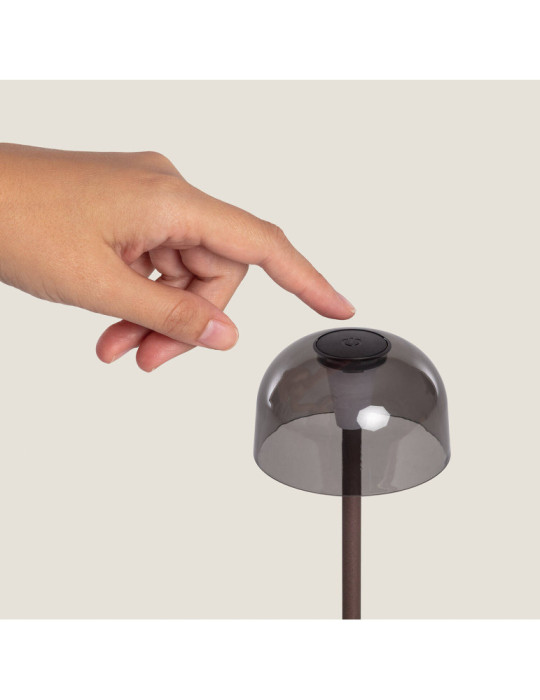 Lampe à Poser LED Portable Extérieur Métal avec Batterie Rechargeable Lendora