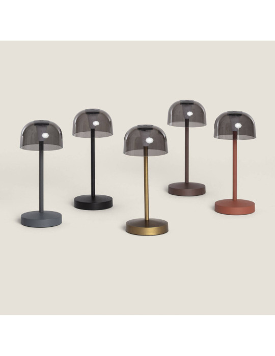 Lampe à Poser LED Portable Extérieur Métal avec Batterie Rechargeable Lendora