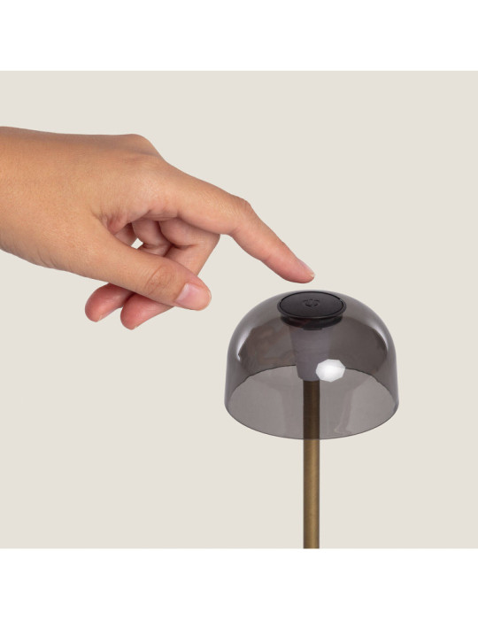 Lampe à Poser LED Portable Extérieur Métal avec Batterie Rechargeable Lendora
