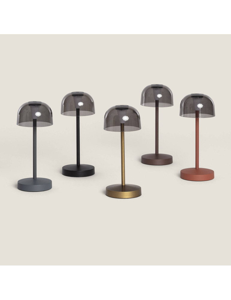 Lampe à Poser LED Portable Extérieur Métal avec Batterie Rechargeable Lendora