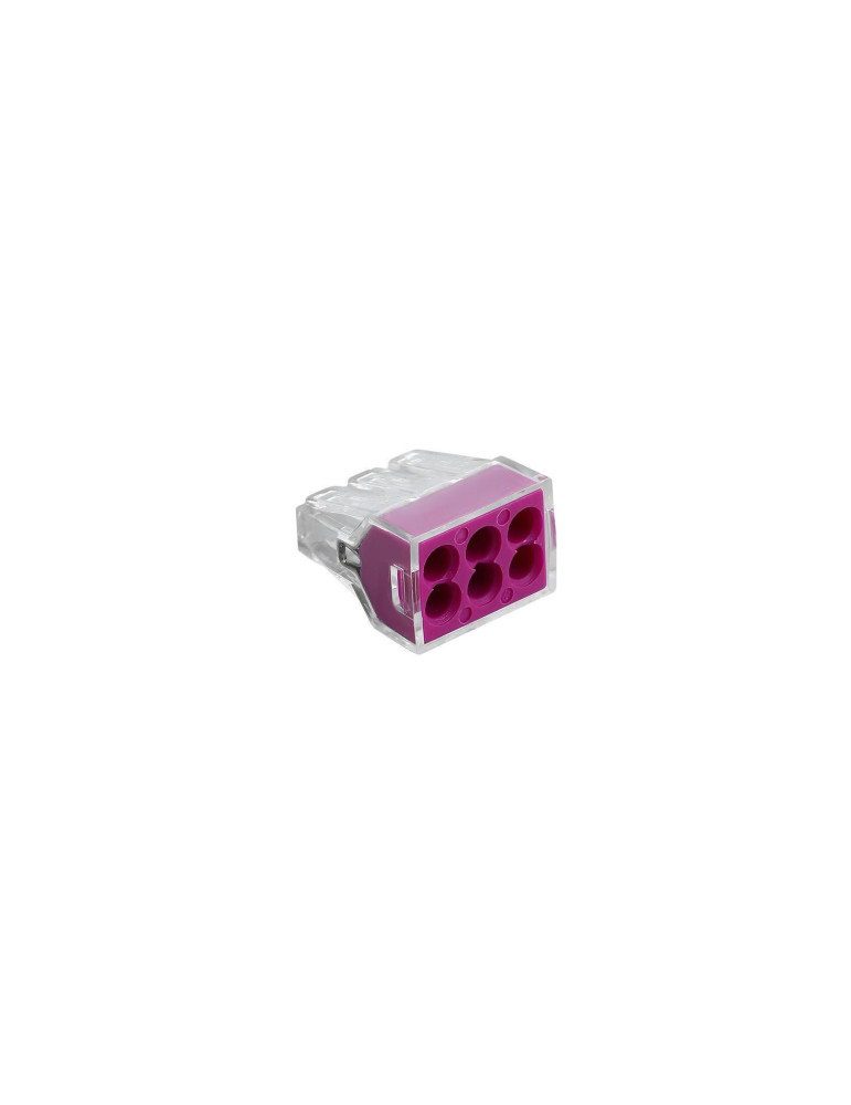 Pack 20 Connecteurs Rapides 6 Entrées 0.75-2.5 mm²