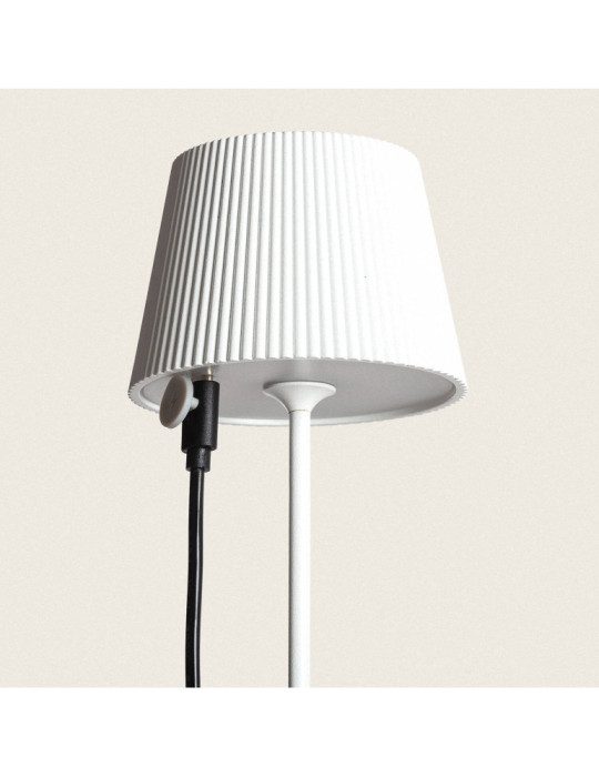 2 W avec Batterie Rechargeable Willox