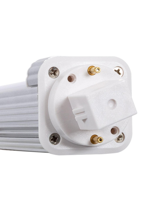 Ampoule LED G24 Frost 7W 700 lm Frost