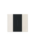 Kit Interrupteur Simple BTicino Living Now