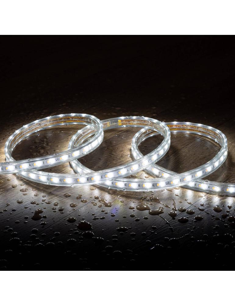 Bobine Ruban LED CCT 220V AC 120 LED/m Largeur 14mm 50 Mètres IP65 Coupe 100cm