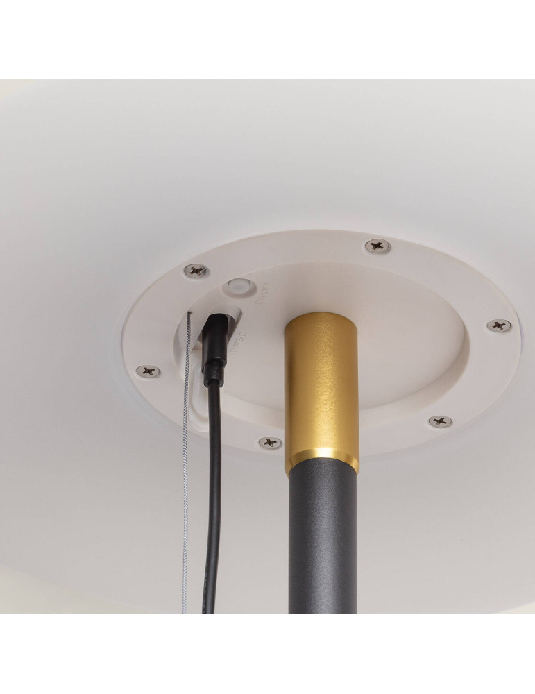 Lampadaire Solaire Extérieur Aldana 2.6W