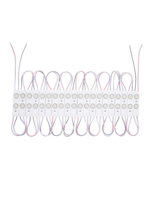 Module LED 20 Pièces 15W IP65 24V DC pour Enseignes Publicitaires 2.5m