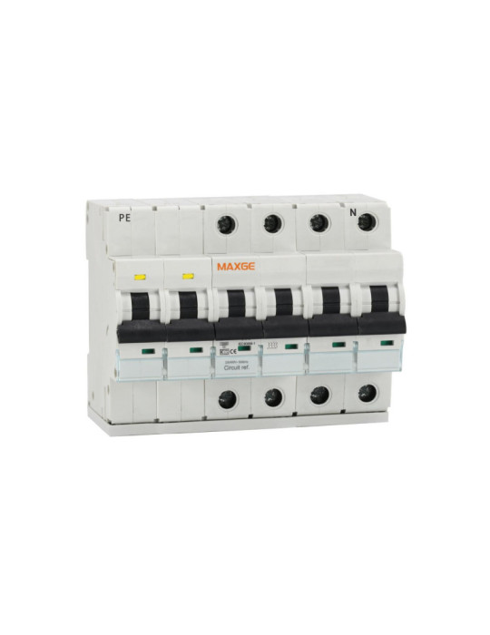 Protecteur Surtension Permanents + Transitoires MAXGE 4P-Class II-15kA-1.5kV