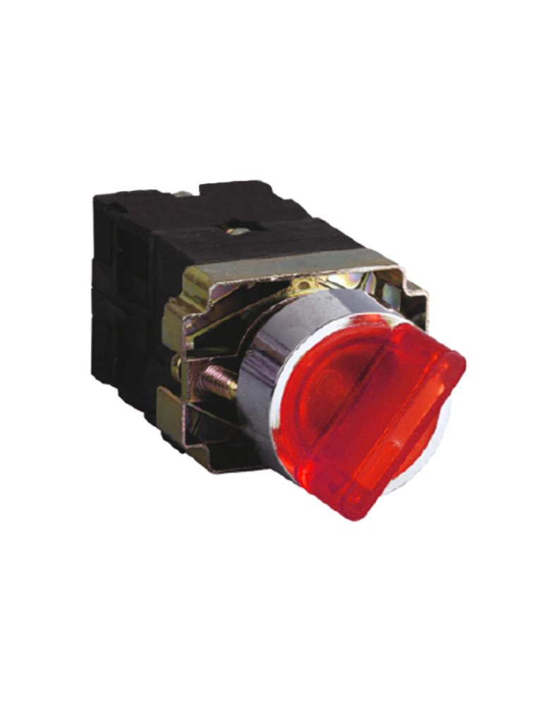 Sélecteur Lumineux 2 Positions 1NF+1NO MAXGE