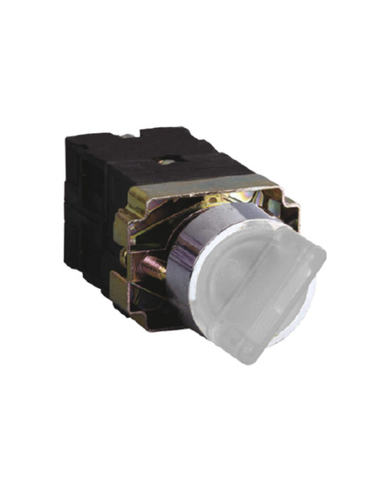 Sélecteur Lumineux 2 Positions 1NF+1NO MAXGE