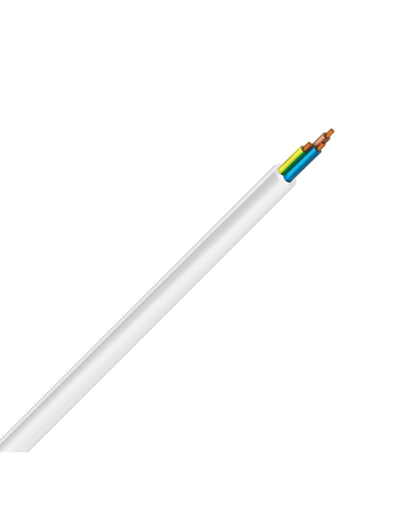 Câble Flexible Intérieur 3 x 1.5mm² Blanc 1kV RV-K