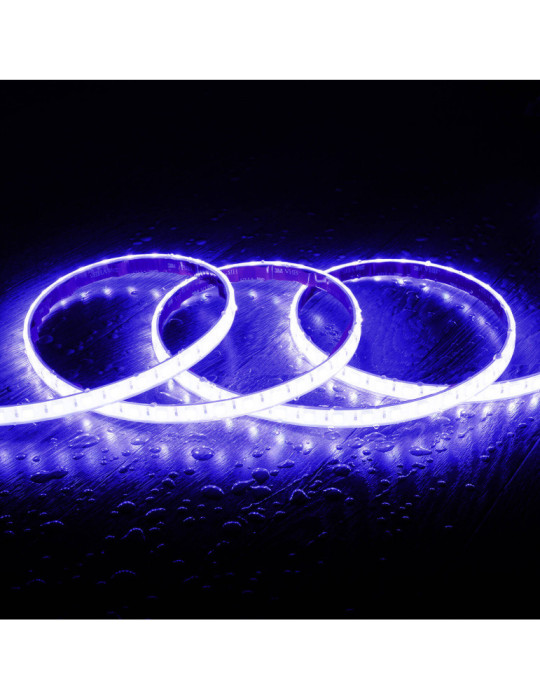 Ruban LED RGB 220V AC SMD5050 Silicone FLEX 60 LED/m IP67 sur mesure Largeur 12mm Coupe tous les 100 cm avec Télécommande