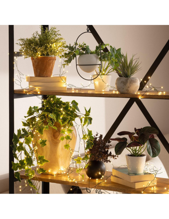 Guirlande Extérieure LED Piner 6m Guirlande Extérieure LED Piner 6m