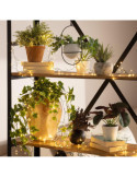 Guirlande Extérieure LED Piner 6m