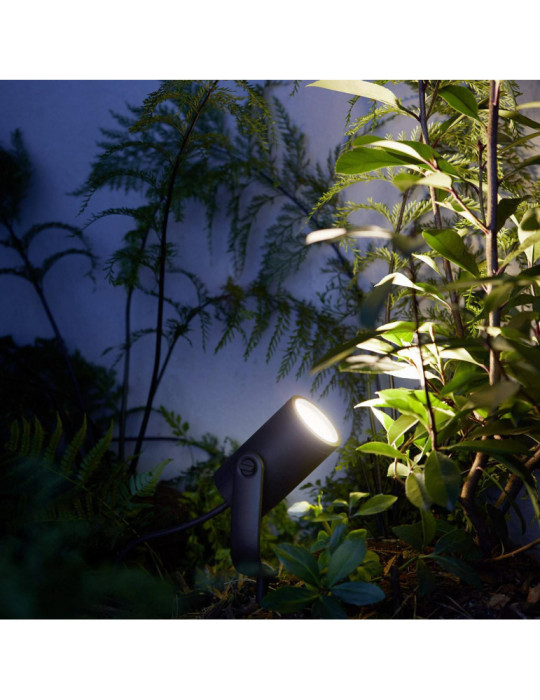 Rallonge Spot sur Piquet White Color Lily 8W PHILIPS Hue