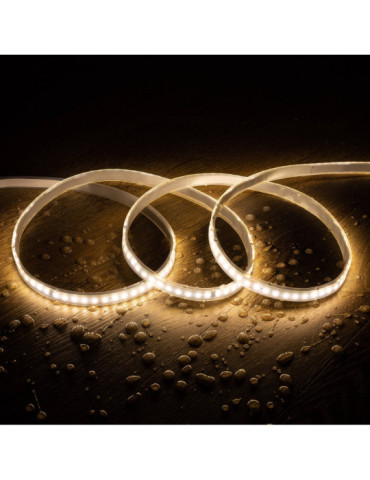 Ruban LED 24V DC Monochrome Digital SPI 120LED/m 10m IP67 Largeur 10mm Coupe tous les 10cm