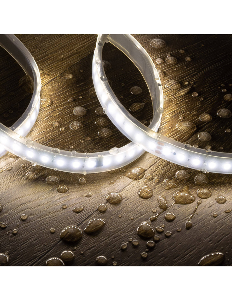 Ruban LED 24V DC Monochrome Digital SPI 120LED/m 10m IP67 Largeur 10mm Coupe tous les 10cm