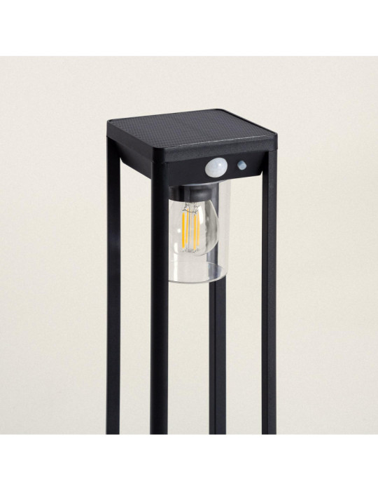 Balise Extérieure sur Pied Solaire 2W 40cm Aluminium avec Détecteur de Mouvement Devah