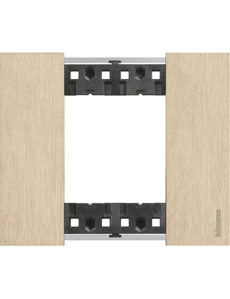Platine de Finition 2 Modules Métals BTicino Living Now KA4802N_