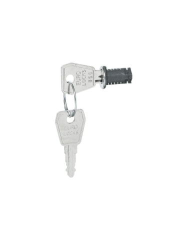 Serrure à Clé n°850 para Boîtes Plexo3 LEGRAND 001966