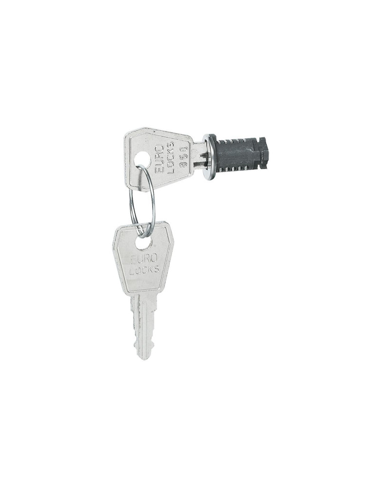 Serrure à Clé n°850 para Boîtes Plexo3 LEGRAND 001966 Serrure à Clé n°850 para Boîtes Plexo3 LEGRAND 001966