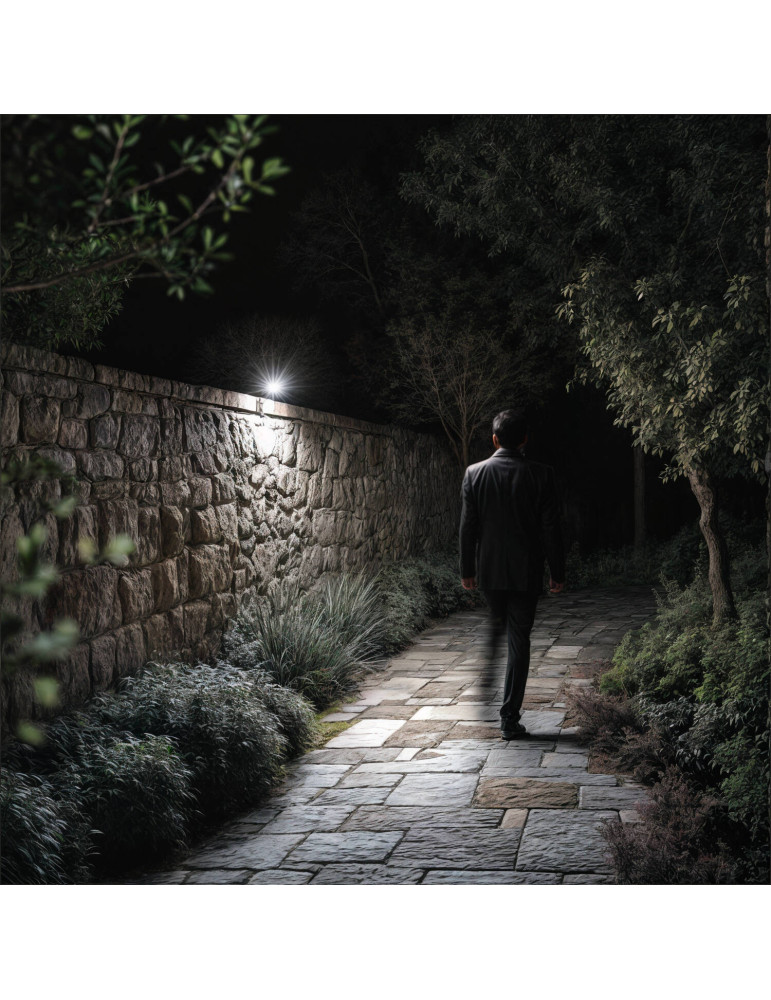 Projecteur Extérieur 50W avec Détector de Mouvement IP65 S2