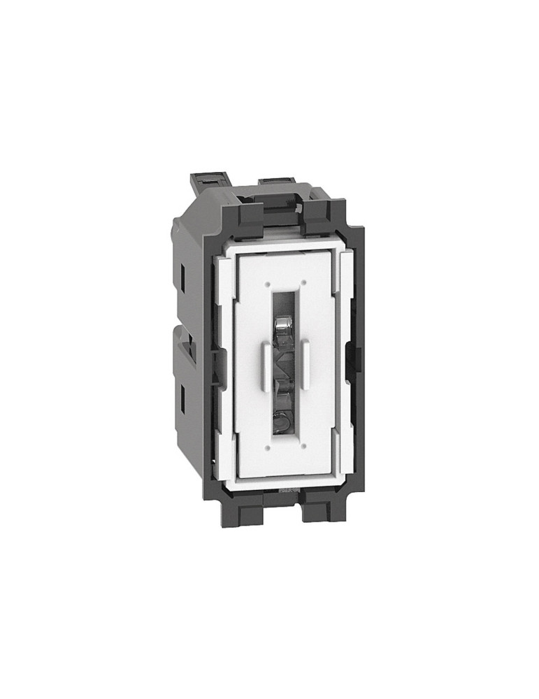 Interrupteur Simple 1 Module 10 AX 250V AC BTicino Living Now K4001A