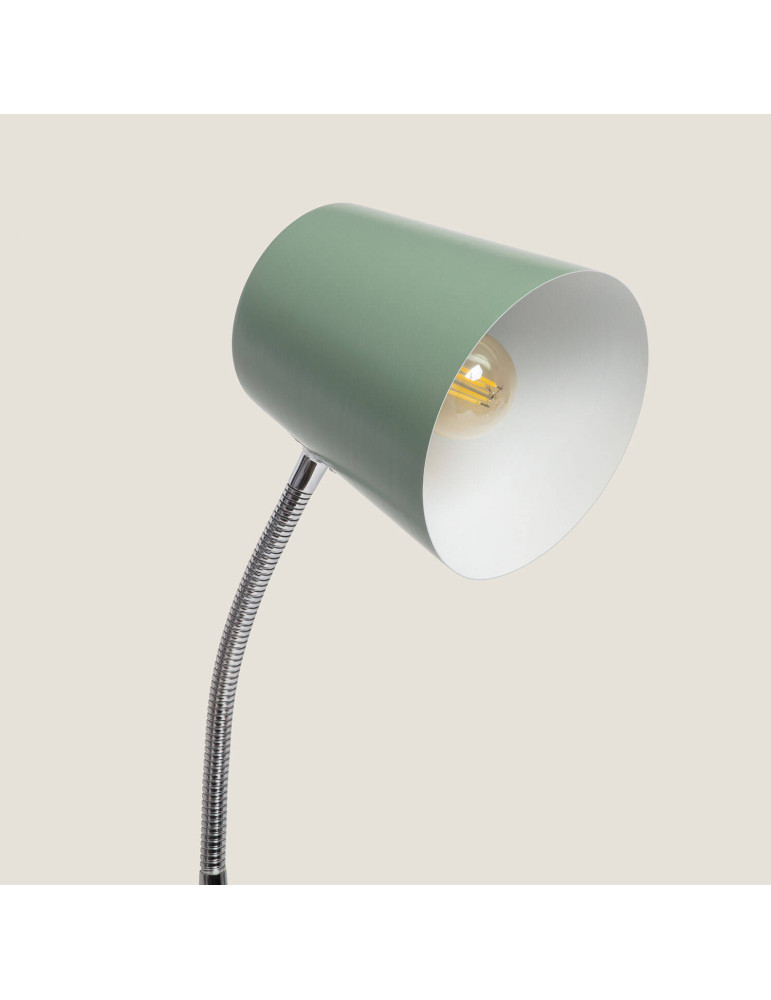 Lampe de Bureau Flex Métal Delavan avec Pince