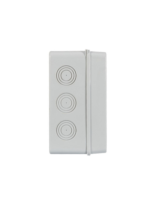 Tableau Électrique en Saillie IP65 MAXGE Tableau Électrique en Saillie IP65 MAXGE